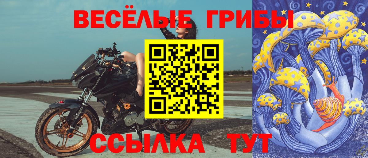 Санкт-Петербург  Галлюциногенные грибы Psilocybine cubensis  Псилоцибиновые грибы Psilocybe  Вход с VPN 