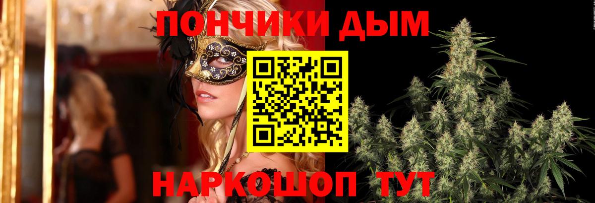 Марихуана сатива Санкт-Петербург